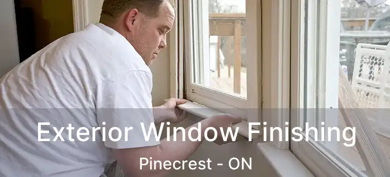  Exterior Window Finishing Pinecrest - ON