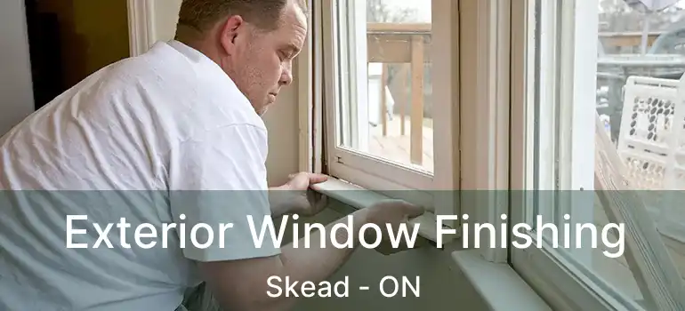  Exterior Window Finishing Skead - ON