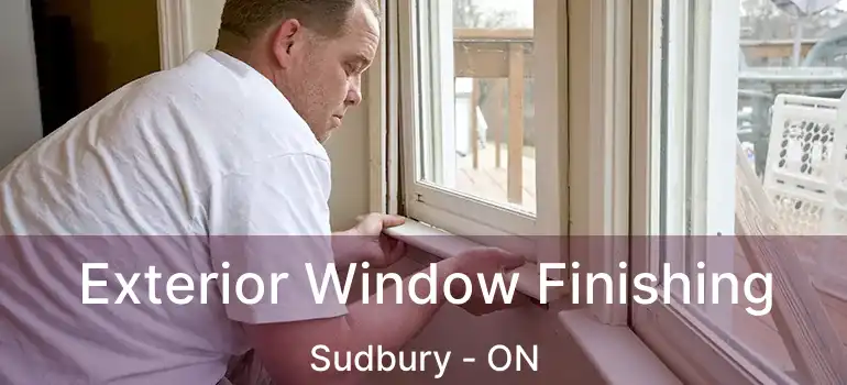  Exterior Window Finishing Sudbury - ON