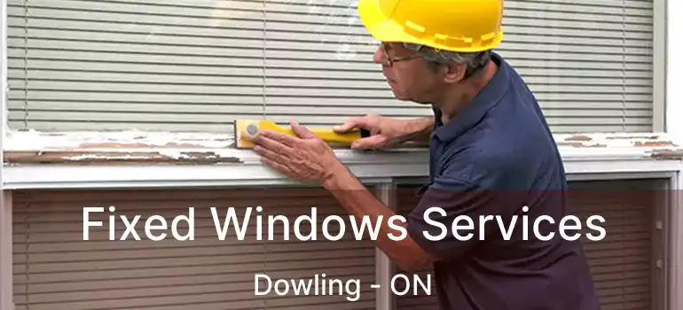  Fixed Windows Services Dowling - ON
