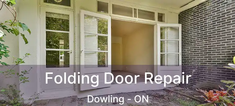  Folding Door Repair Dowling - ON