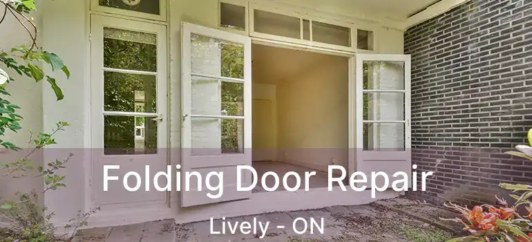  Folding Door Repair Lively - ON