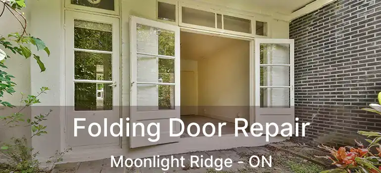  Folding Door Repair Moonlight Ridge - ON