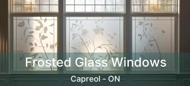  Frosted Glass Windows Capreol - ON