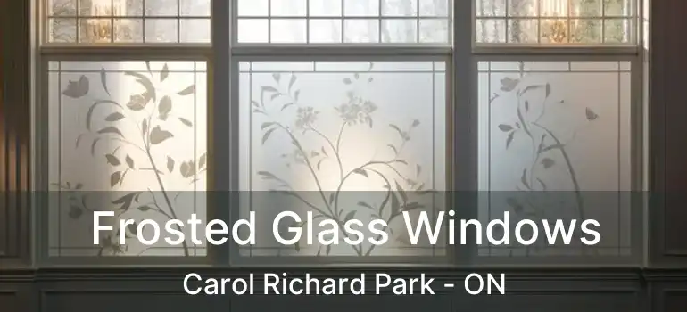  Frosted Glass Windows Carol Richard Park - ON