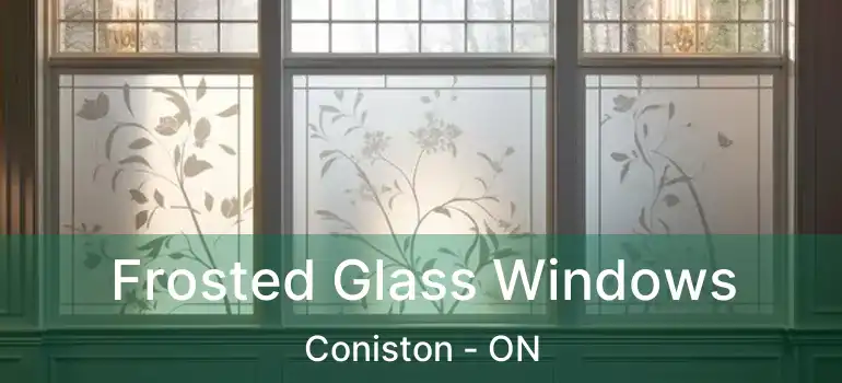  Frosted Glass Windows Coniston - ON