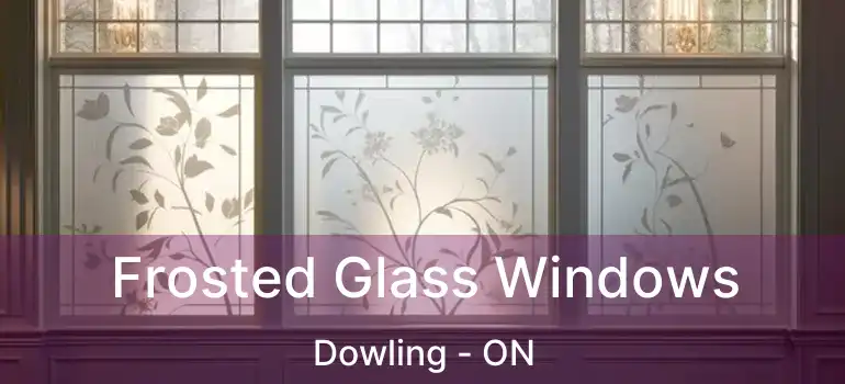  Frosted Glass Windows Dowling - ON