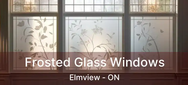  Frosted Glass Windows Elmview - ON