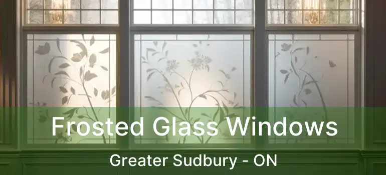  Frosted Glass Windows Greater Sudbury - ON