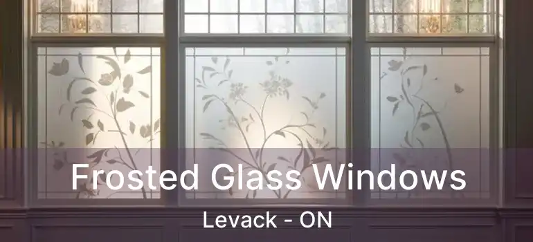  Frosted Glass Windows Levack - ON