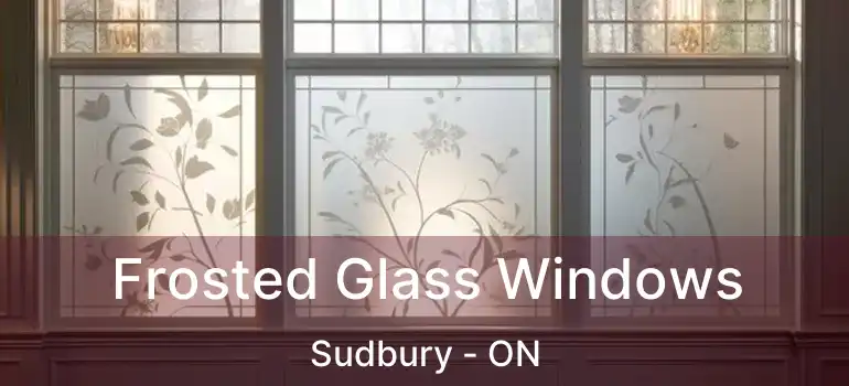  Frosted Glass Windows Sudbury - ON