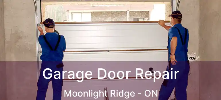  Garage Door Repair Moonlight Ridge - ON