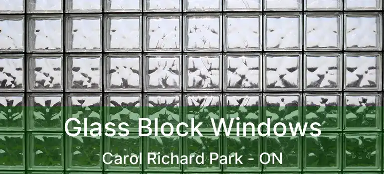  Glass Block Windows Carol Richard Park - ON