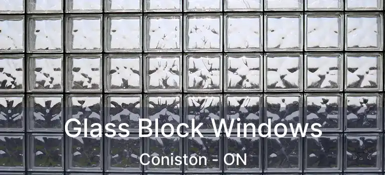  Glass Block Windows Coniston - ON