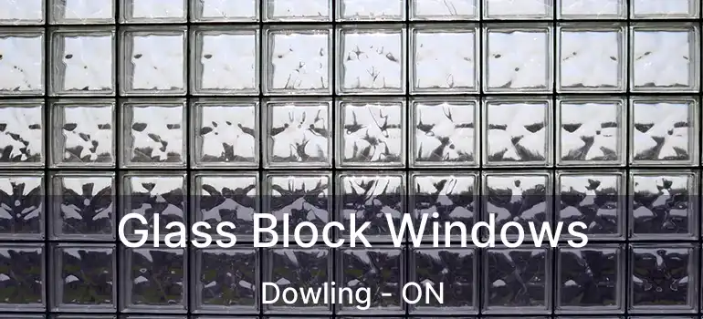  Glass Block Windows Dowling - ON