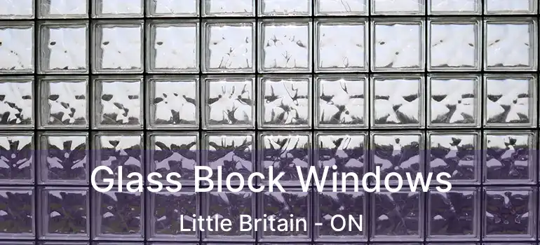  Glass Block Windows Little Britain - ON