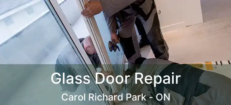  Glass Door Repair Carol Richard Park - ON