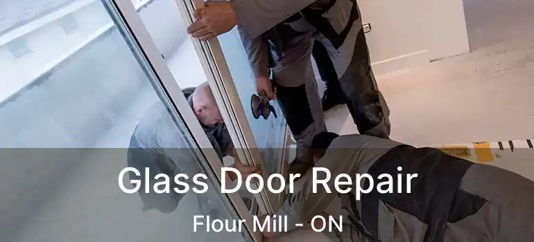  Glass Door Repair Flour Mill - ON
