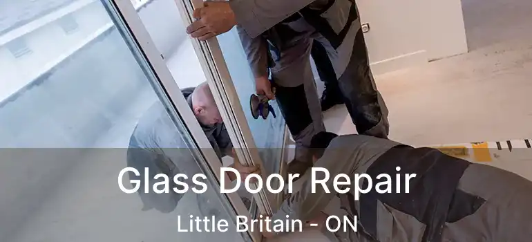  Glass Door Repair Little Britain - ON
