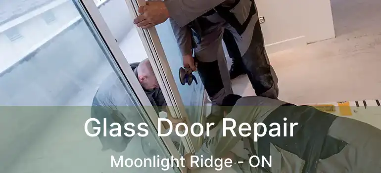  Glass Door Repair Moonlight Ridge - ON