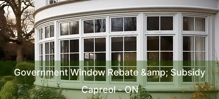  Government Window Rebate & Subsidy Capreol - ON