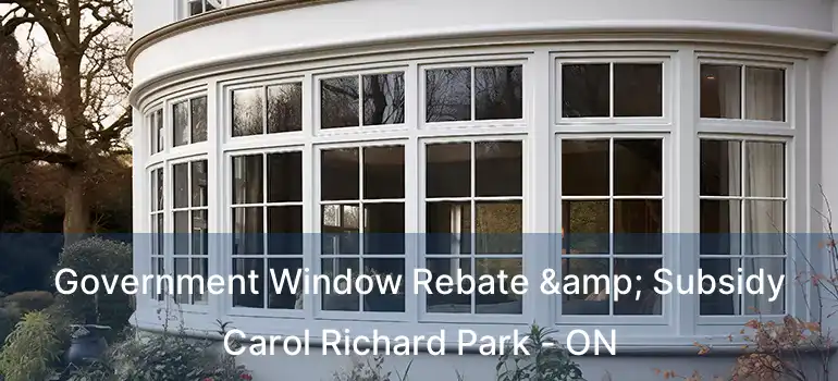  Government Window Rebate & Subsidy Carol Richard Park - ON