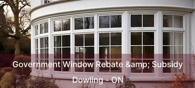  Government Window Rebate & Subsidy Dowling - ON
