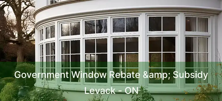 Government Window Rebate & Subsidy Levack - ON