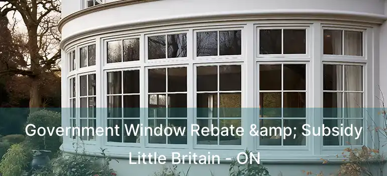  Government Window Rebate & Subsidy Little Britain - ON