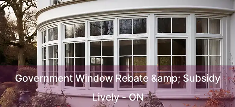  Government Window Rebate & Subsidy Lively - ON