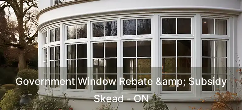  Government Window Rebate & Subsidy Skead - ON