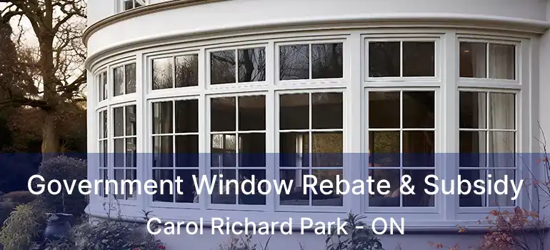  Government Window Rebate & Subsidy Carol Richard Park - ON