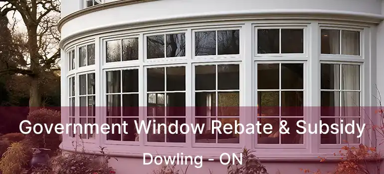  Government Window Rebate & Subsidy Dowling - ON