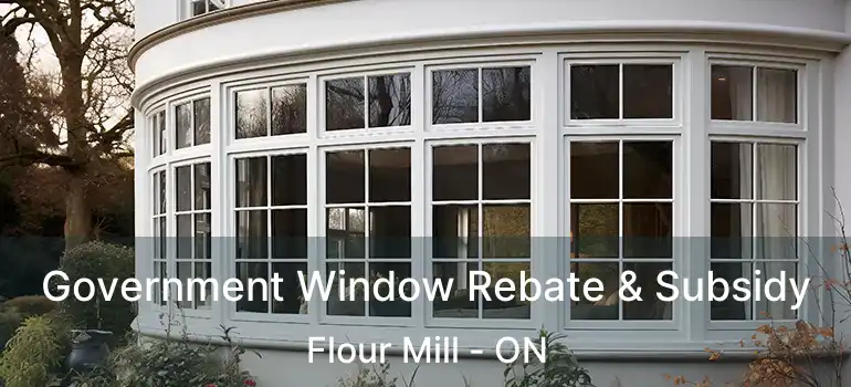  Government Window Rebate & Subsidy Flour Mill - ON