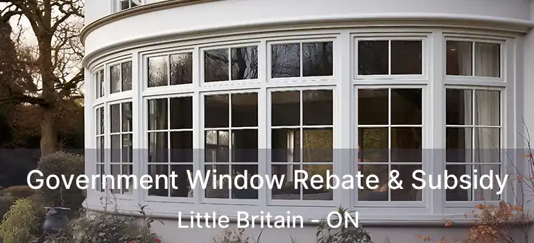  Government Window Rebate & Subsidy Little Britain - ON