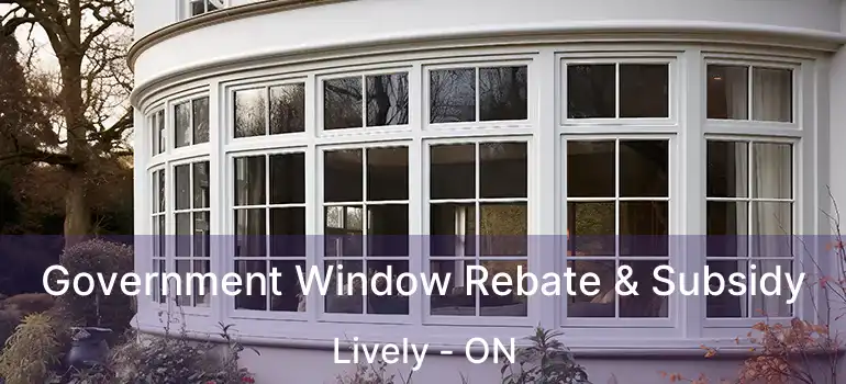 Government Window Rebate & Subsidy Lively - ON