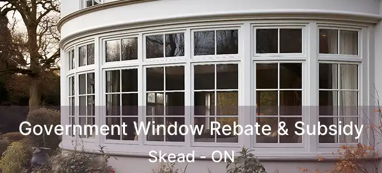  Government Window Rebate & Subsidy Skead - ON