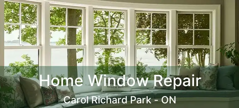  Home Window Repair Carol Richard Park - ON