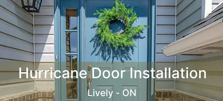  Hurricane Door Installation Lively - ON