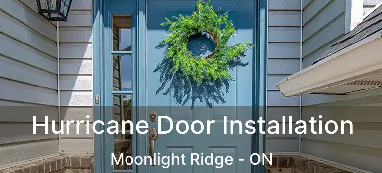  Hurricane Door Installation Moonlight Ridge - ON