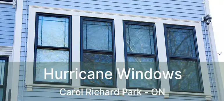  Hurricane Windows Carol Richard Park - ON