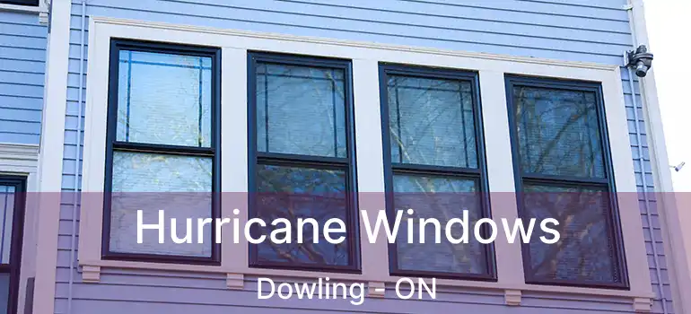  Hurricane Windows Dowling - ON