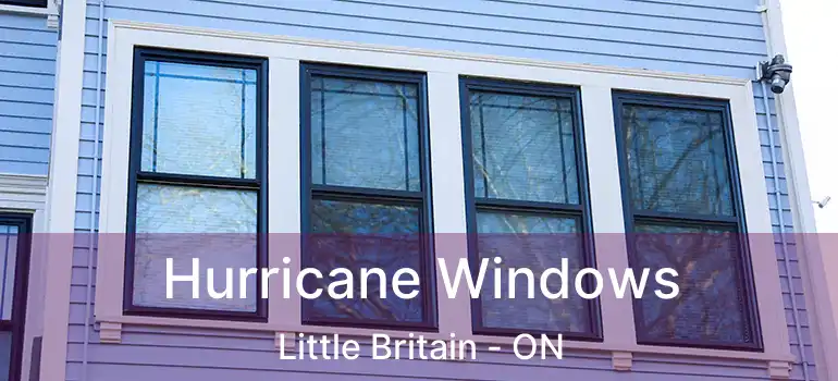  Hurricane Windows Little Britain - ON