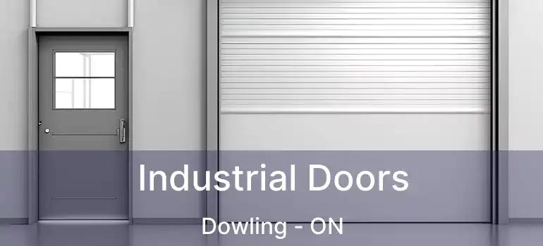  Industrial Doors Dowling - ON