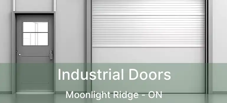  Industrial Doors Moonlight Ridge - ON