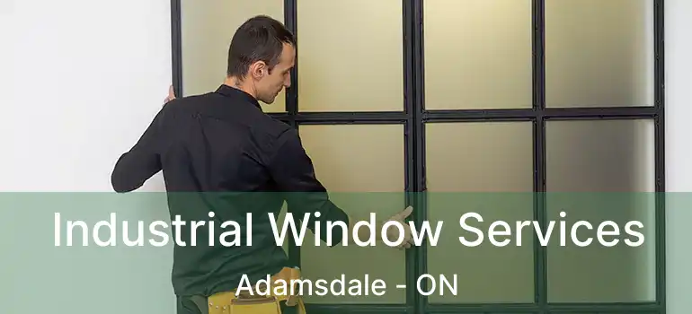  Industrial Window Services Adamsdale - ON