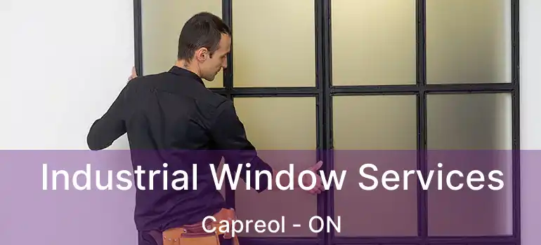  Industrial Window Services Capreol - ON