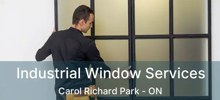  Industrial Window Services Carol Richard Park - ON