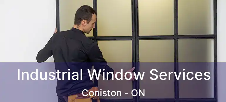 Industrial Window Services Coniston - ON