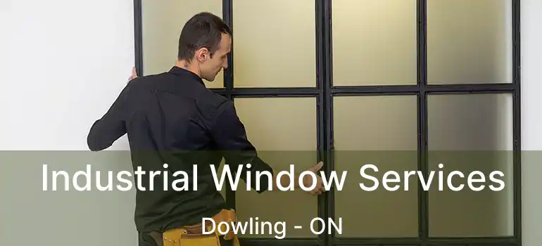  Industrial Window Services Dowling - ON